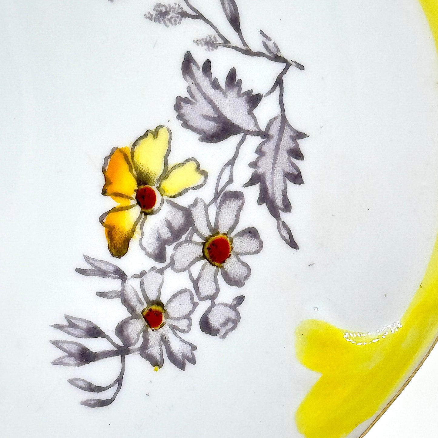 Spencer Stevenson Yellow Poppy Bone China Dinner Plate 25 cm